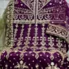 Zaha Chantelle Vol 6 Butterfly Net Wholesale Pakistani Salwar Suit Catalog